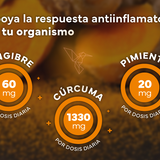 Cúrcuma BIO con Jengibre y Pimienta Negra - 1410 mg por Dosis - 365 Cápsulas Veganas