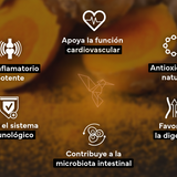 Cúrcuma BIO con Jengibre y Pimienta Negra - 1410 mg por Dosis - 365 Cápsulas Veganas