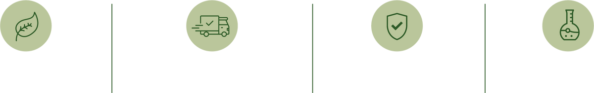 Graphic