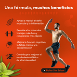 Creatine Monohydrate Powder 500g Unflavored