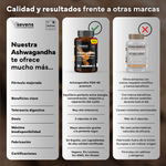 Ashwagandha Sevens Nutrition, apoyo natural para el bienestar mental