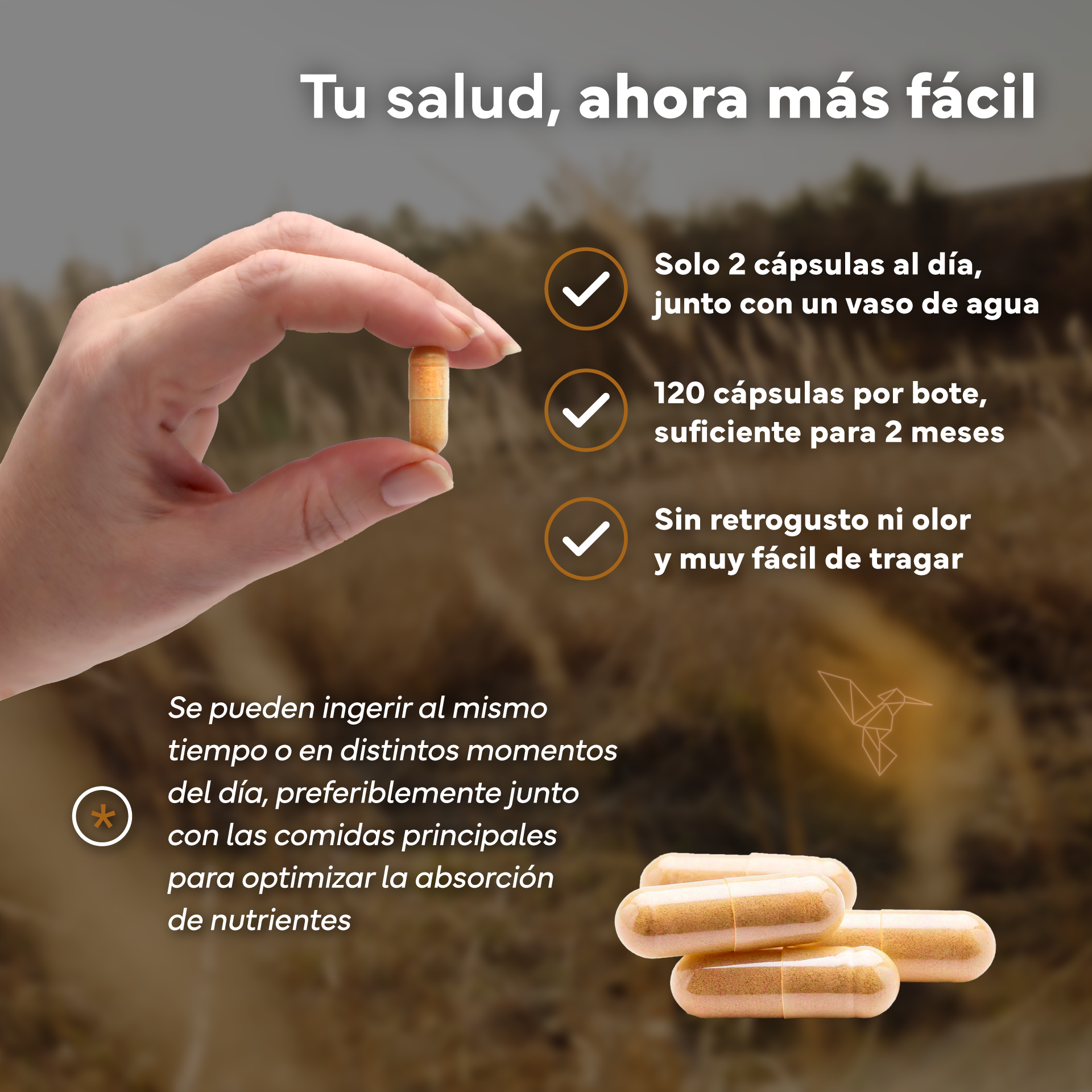 Comprar suplemento de ashwagandha natural para mantener la energía y la serenidad