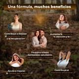 Ashwagandha KSM-66 Sevens Nutrition para favorecer el descanso y el equilibrio emocional