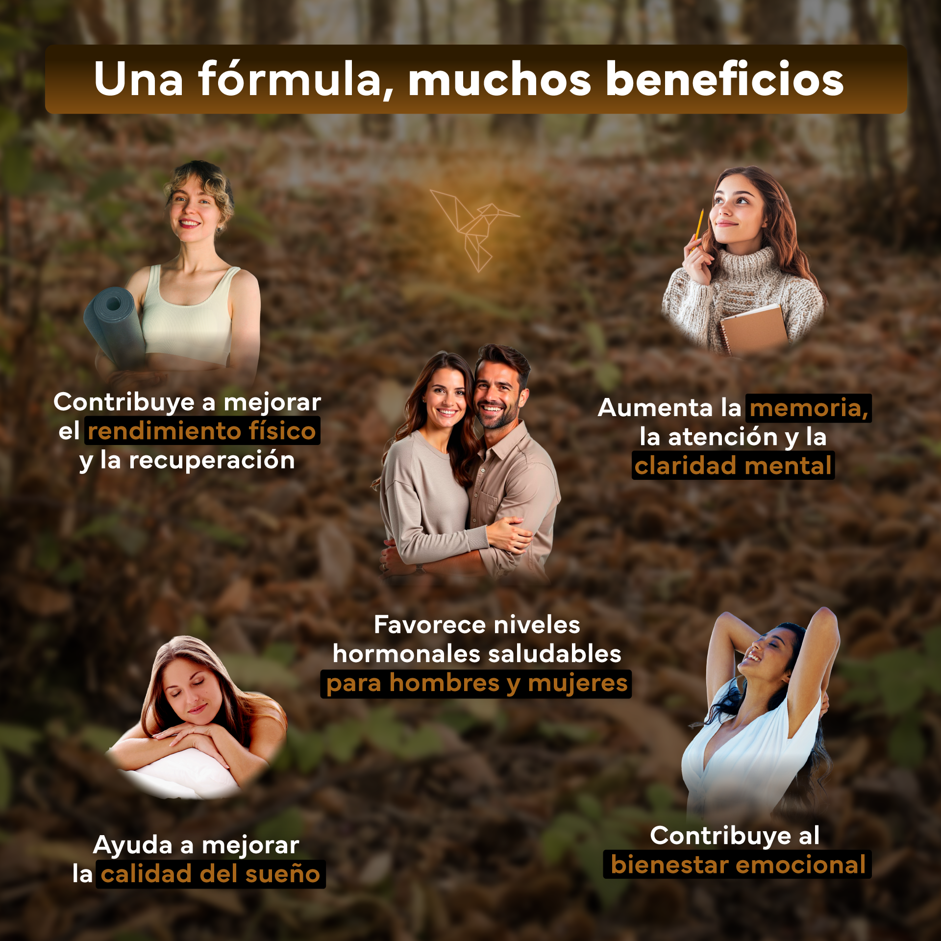 Ashwagandha KSM-66 Sevens Nutrition para favorecer el descanso y el equilibrio emocional