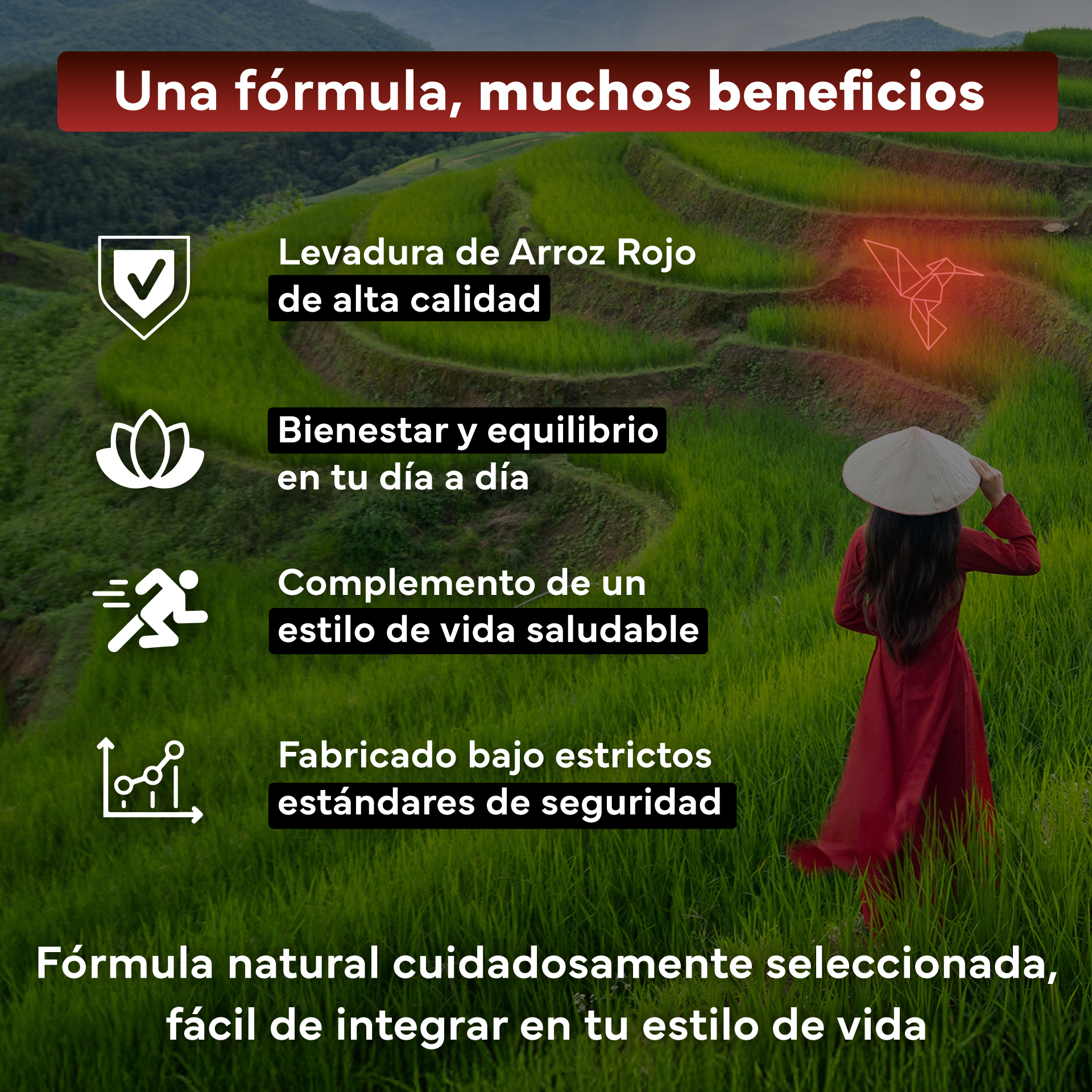 Levadura roja de arroz con 2.9 mg de Monacolina K por dosis