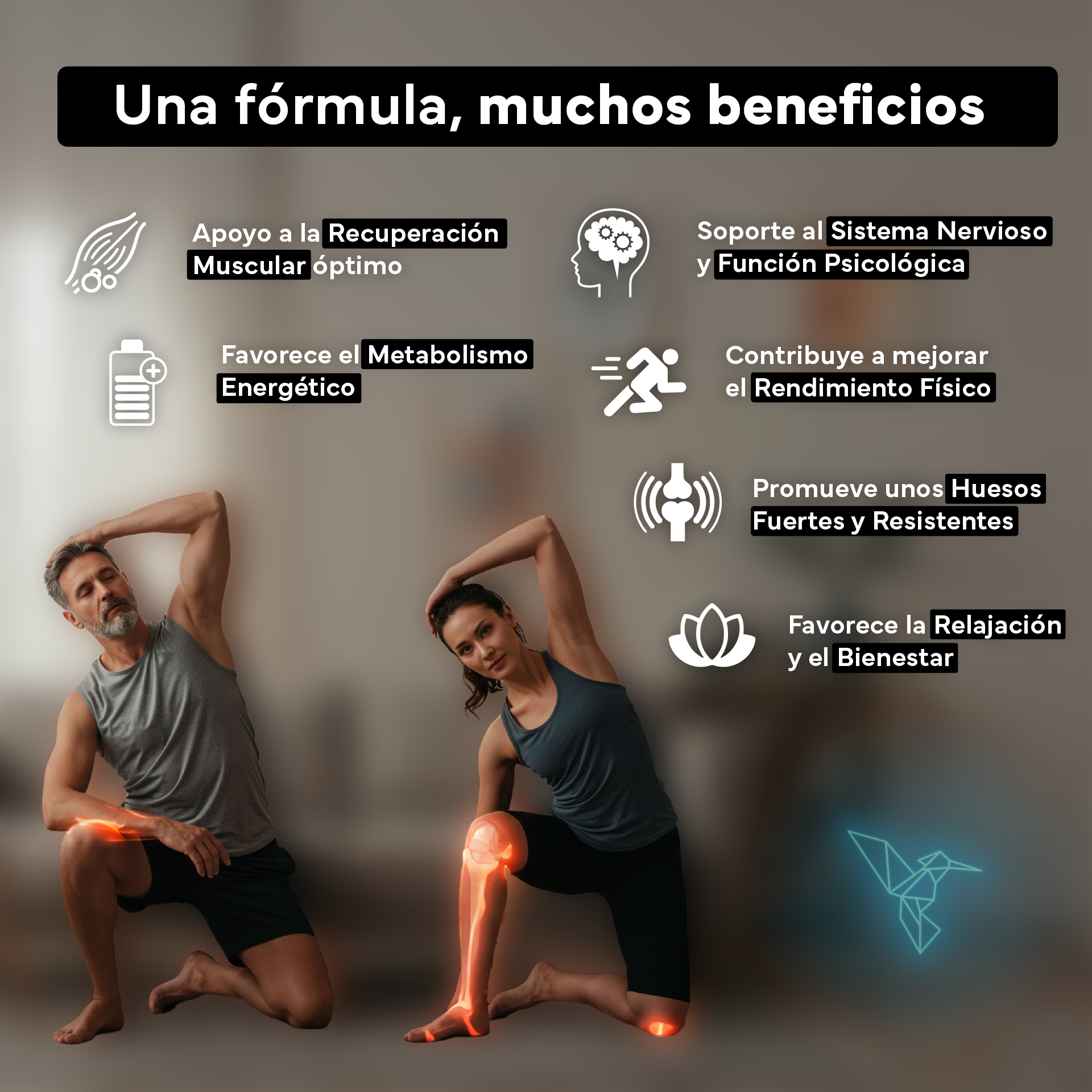 Magnesio Complex 4 en 1 - Citrato, Bisglicinato, Taurato y Malato – Sevens Nutrition