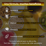 Multivitaminas con ginseng Sevens Nutrition