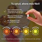Suplemento con vitaminas del grupo B, minerales y antioxidantes