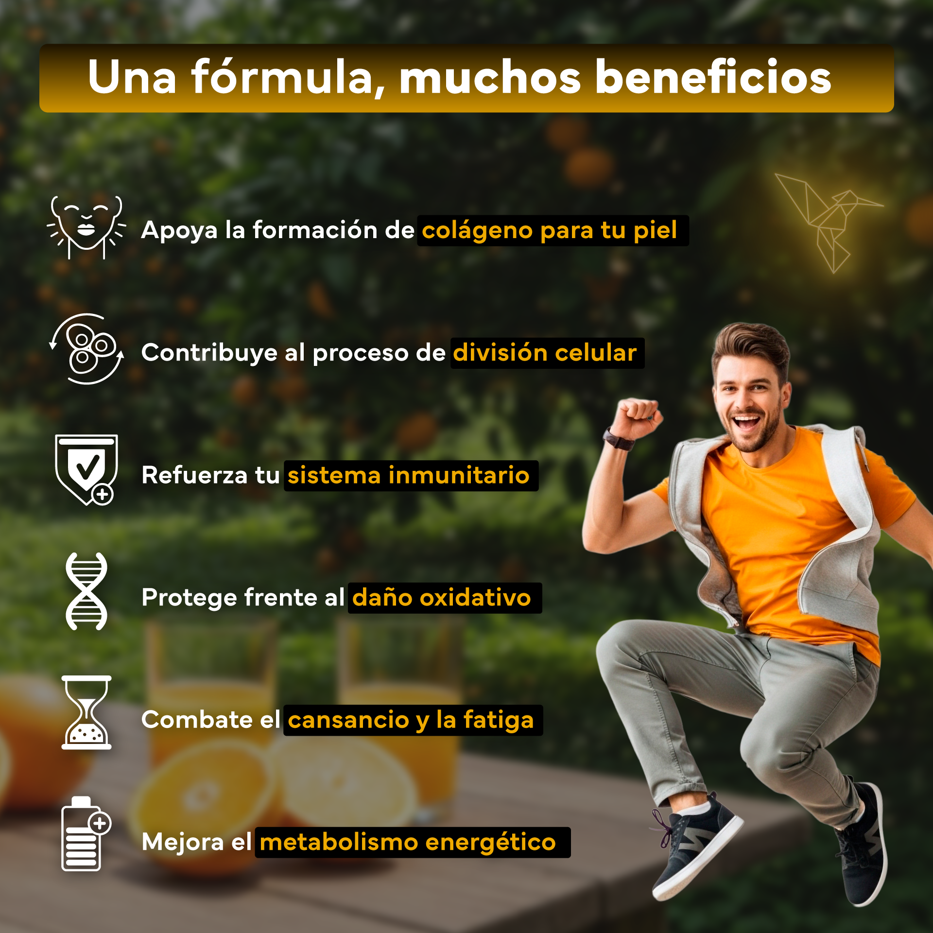 Vitamina C 1000 mg Sevens Nutrition con bioflavonoides cítricos para protección antioxidante natural